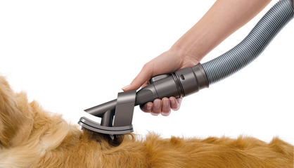 Dyson Groom