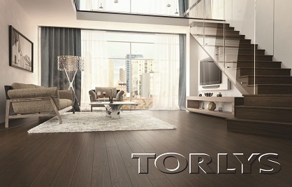 TORLYS Inc.